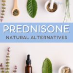 alternatives for prednisone